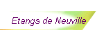 Etangs de Neuville